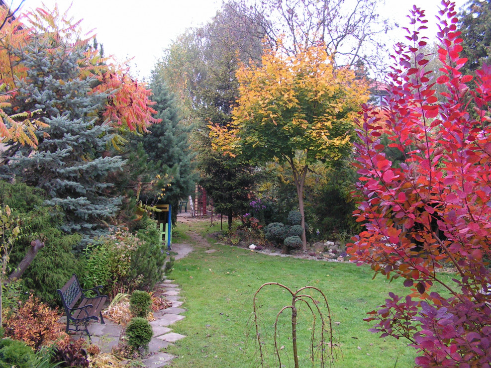 Jesienna panorama