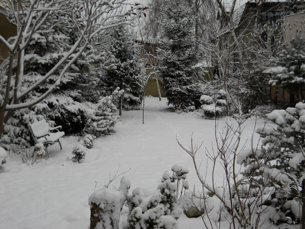 Pod śniegową pierzynką