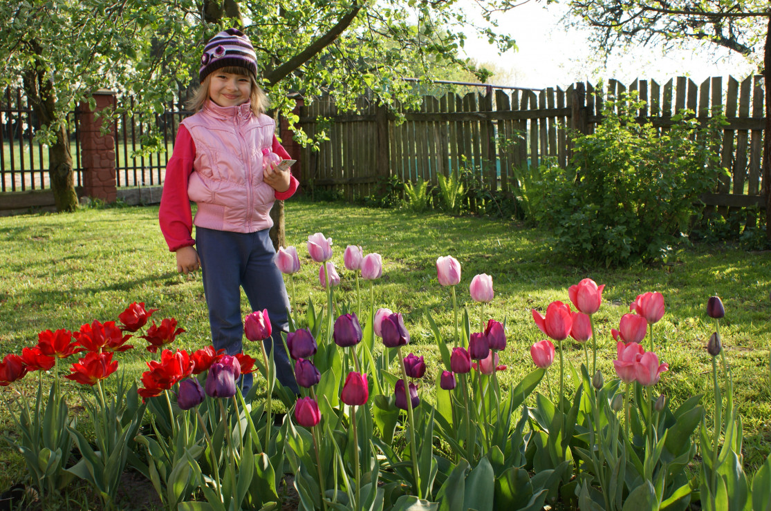 Ulubione tulipany Darii w jej ulubionym kolorze :) Na takie widoki warto czekać nawet rok! Aż buźka sama się raduje:)