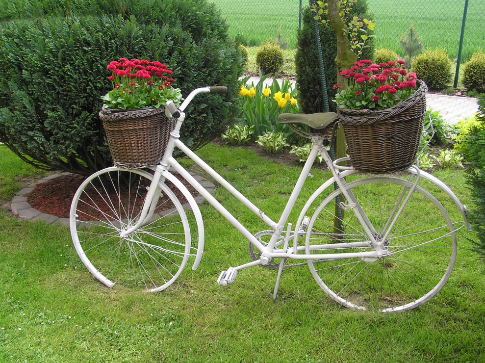 ten rower wygląda kwitnąco jak co roku