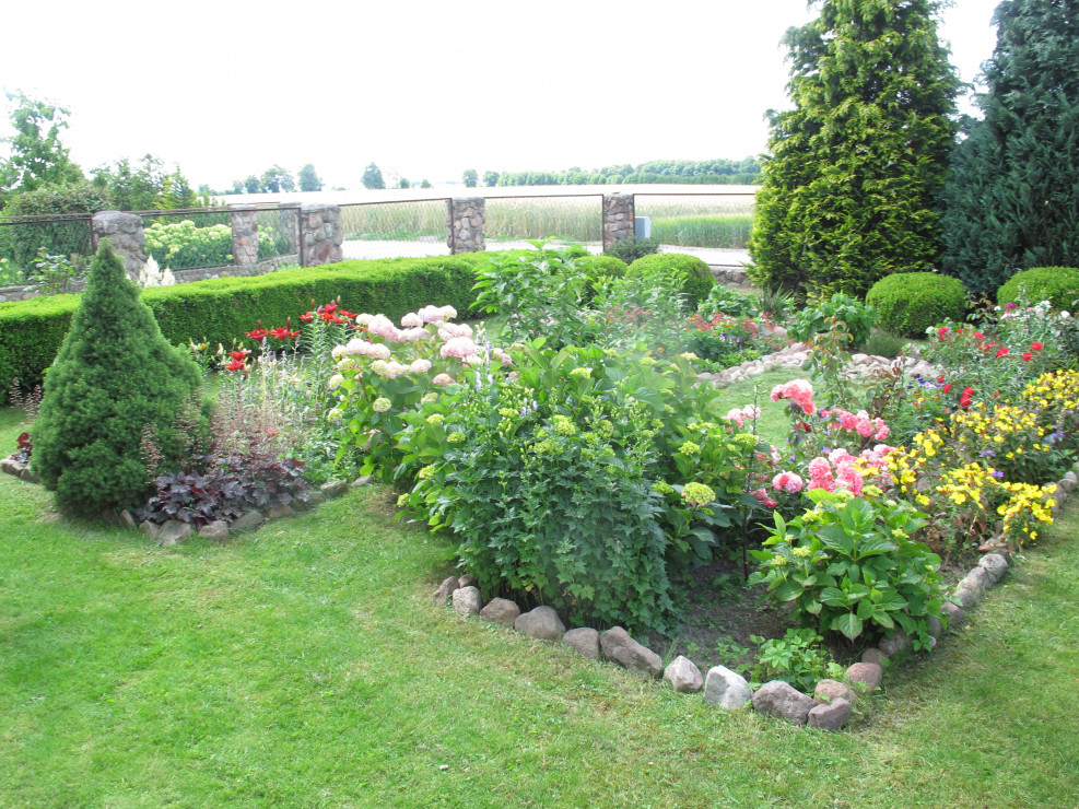 ogród pełen kwiatów róż, lili,turków,mieczyków,astrów,cyni,piwoni,jukki,
