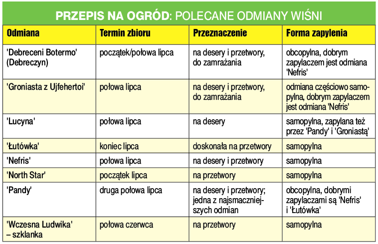 Przepis na Ogród: Polecane odmiany wiśni.