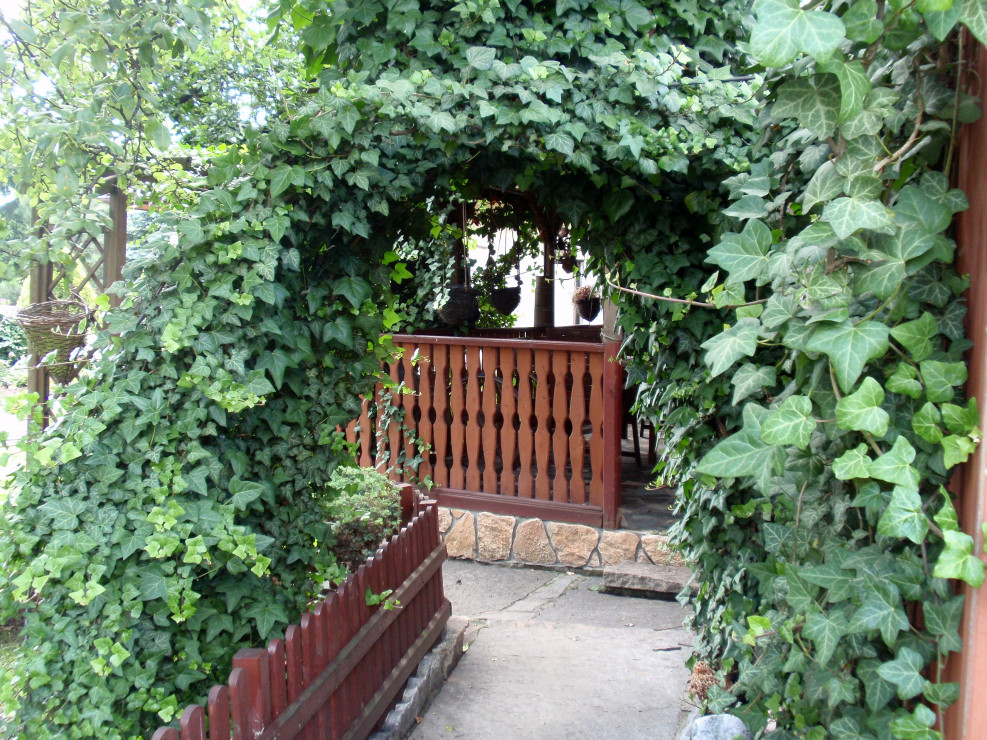 wejście do ogrodu