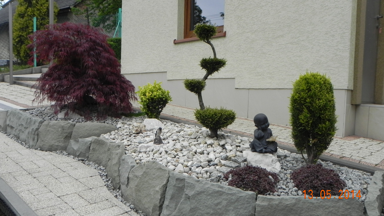 Bonsai własnoręcznie wyginany