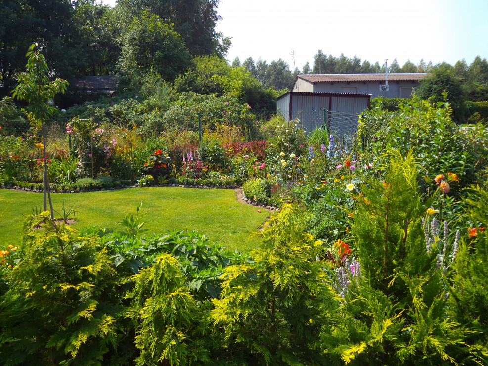 Widok na przednią część ogrodu oraz rabaty kwiatowe gdzie królują różne gatunki, są tam głównie byliny