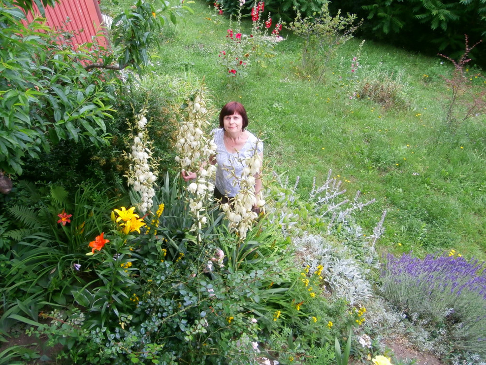 Bożenka i jej ukochane Juki ogrodowe w lipcu ;)