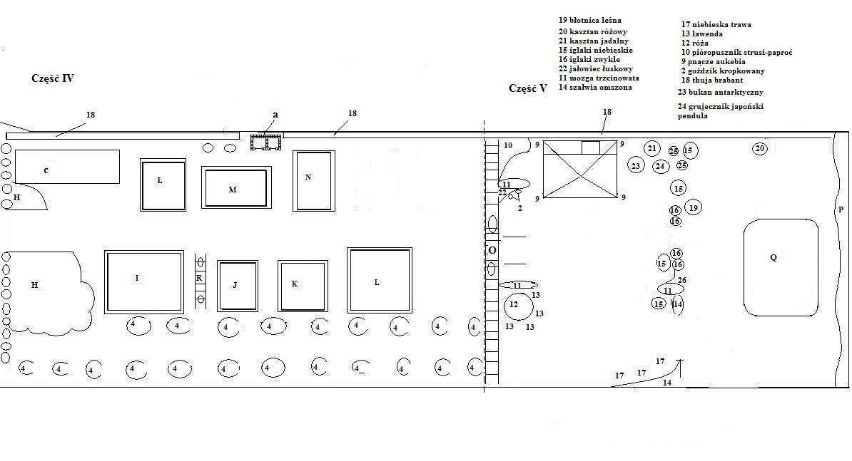 L-Poletko z porzeczkami i agrestami
M-truskawki i poziomki
N-aronia i jagoda goji
I-warzywniak
J-zielnik
K-borówki ameryk., borówka różowa, jagoda kamczacka
L-maliny
P-rzeczka
Q-oczko wodne
R-winogron
O-trejaż z pnączami owocowymi
18-thuja braband