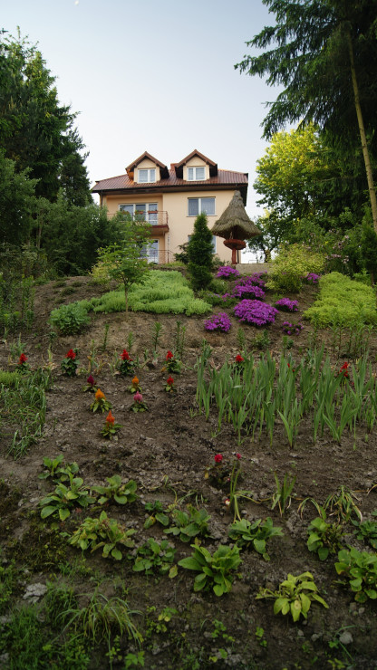 Rabaty kwiatowe głównie z tulipanów,lilii i goździków.