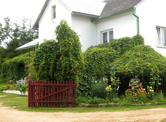 Wjazd na działkę z widocznym ogrodem przydomowym