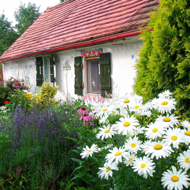 Kwiatowy gąszcz