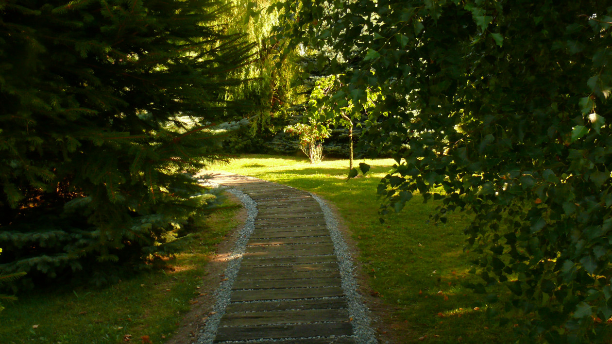 Ścieżka, prowadząca w głąb ogrodu.