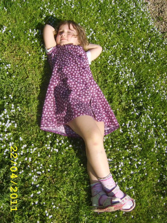 Amelka na kwiecistej łące.