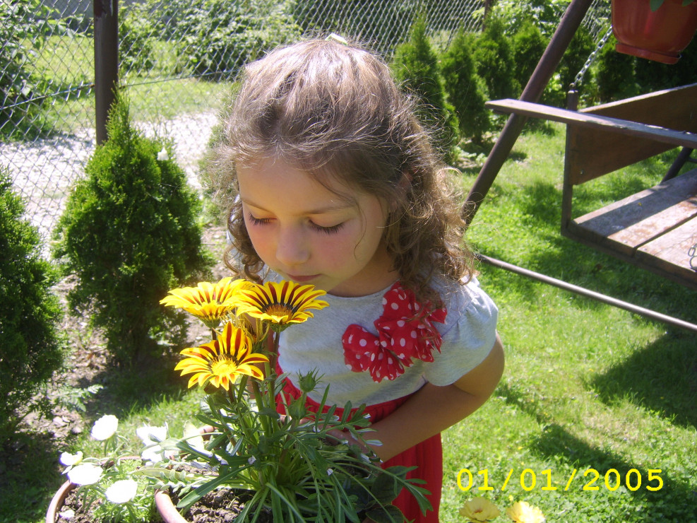 Amelka sprawdza czy kwiatki ładnie pachną.
