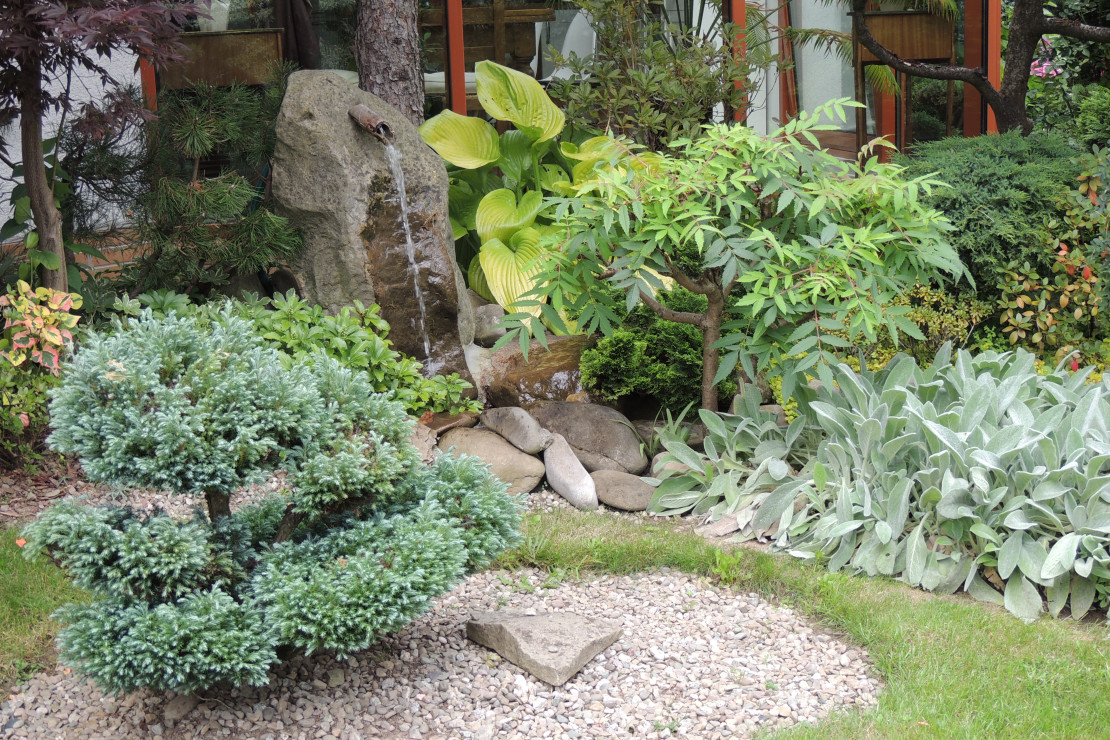 Źródełko w japońskim ogrodzie.