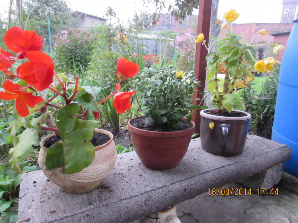 ........................