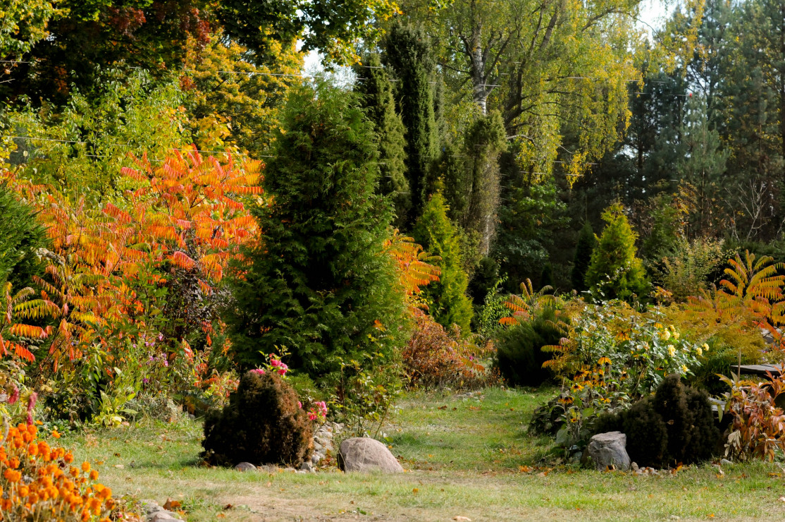 ogród w jesiennych barwach