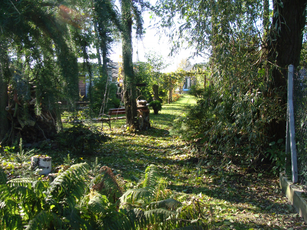 2013 - jesień w ogrodzie
