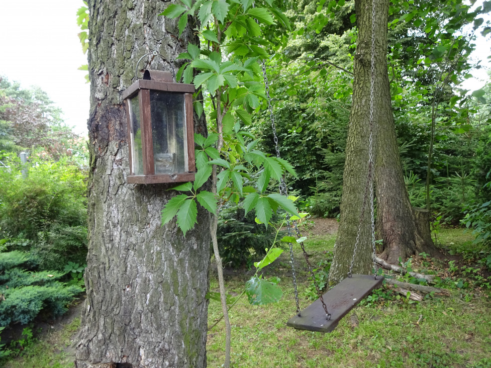 2015 - huśtawka ma się dobrze
