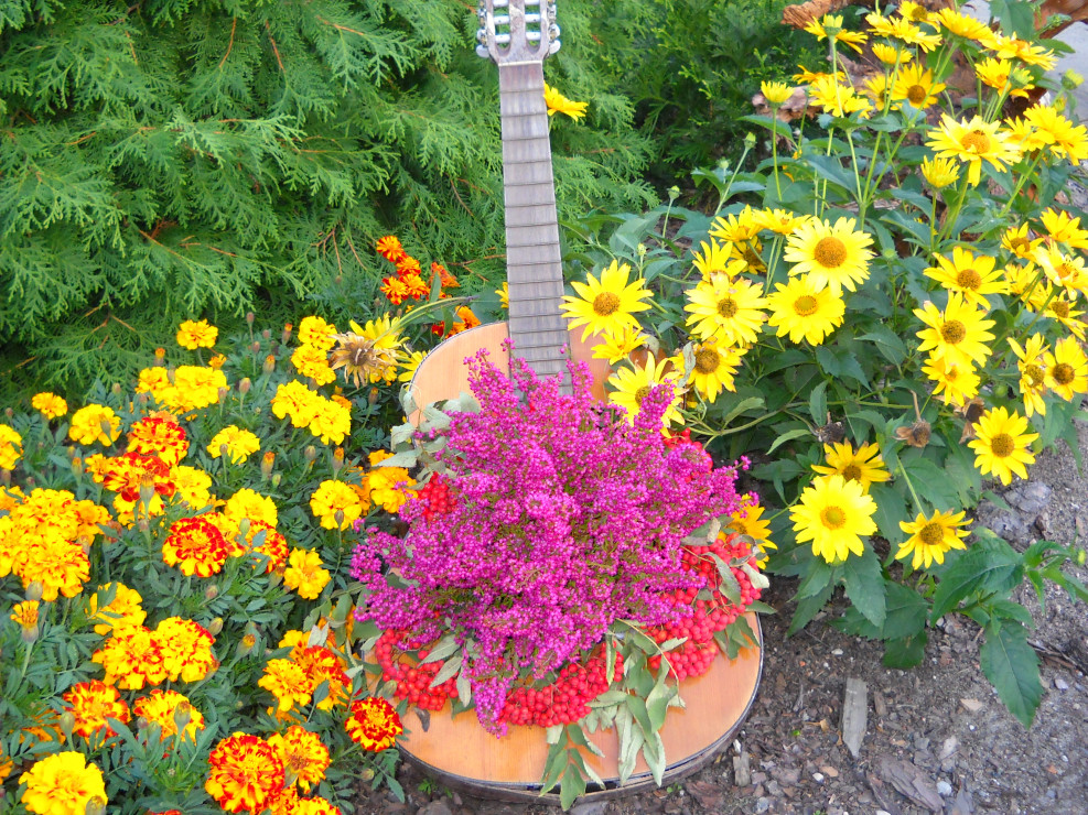 Gitara z kwiatami.