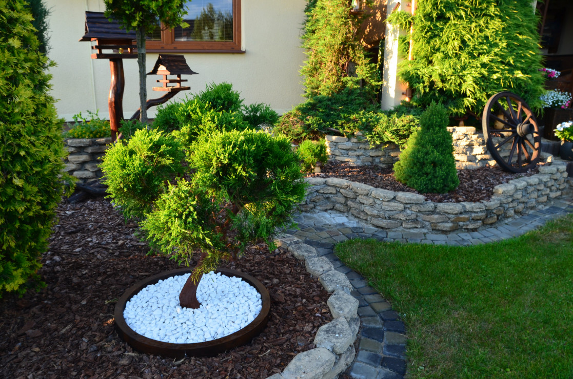 Bonsai