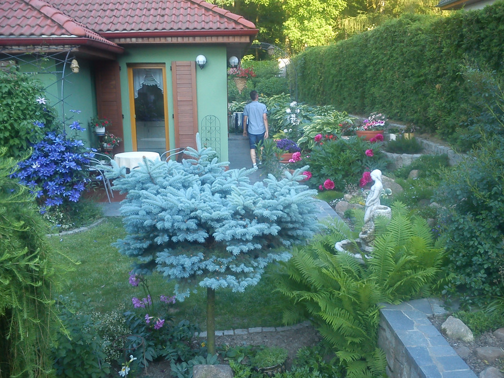 wejście do ogrodu w drugiej części