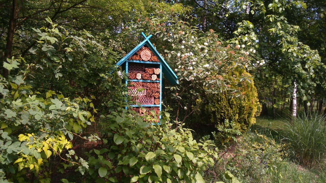 Domek dla owadów i dzikich pszczół