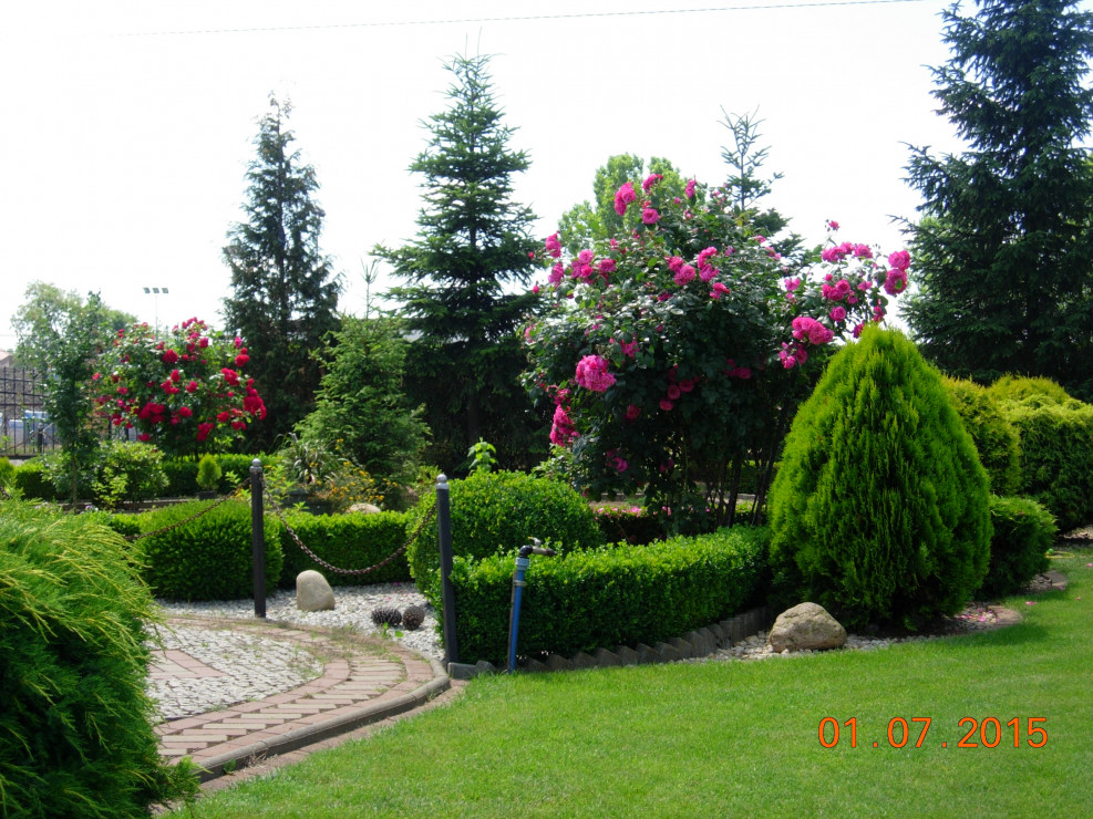 Ogród ozdobny przed domem