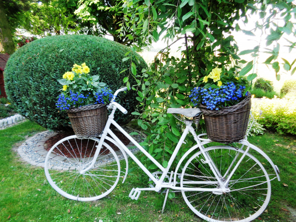  Ten rower miał już lata świetności za sobą. Chociaż go nie
zreperowano, wygląda kwitnąco!