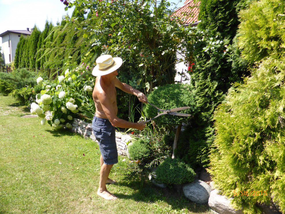Bo o ogród trzeba dbać! Dziadek Janek Nożycoręki :)

Dziadek zawsze starannie pielęgnuje ogród, dba o terminowe podcinanie, odpowiednie nawadnianie i nawożenie roślin.