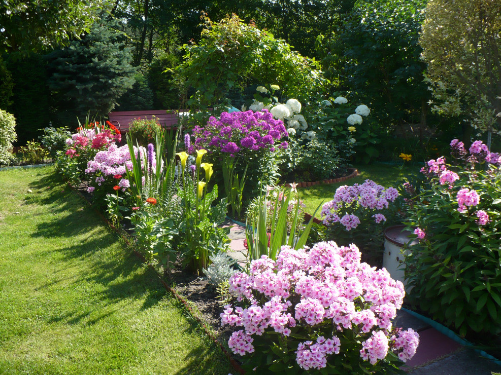 Fotografia przedstawiająca alejkę ogrodową, która jest zmienna w zależności od pory roku.