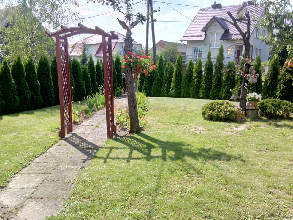 Ogród