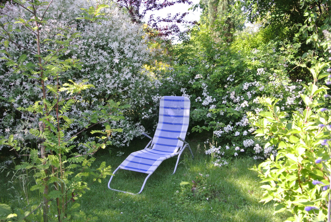 i dzika róża za której zapachem idę , jak radził poeta