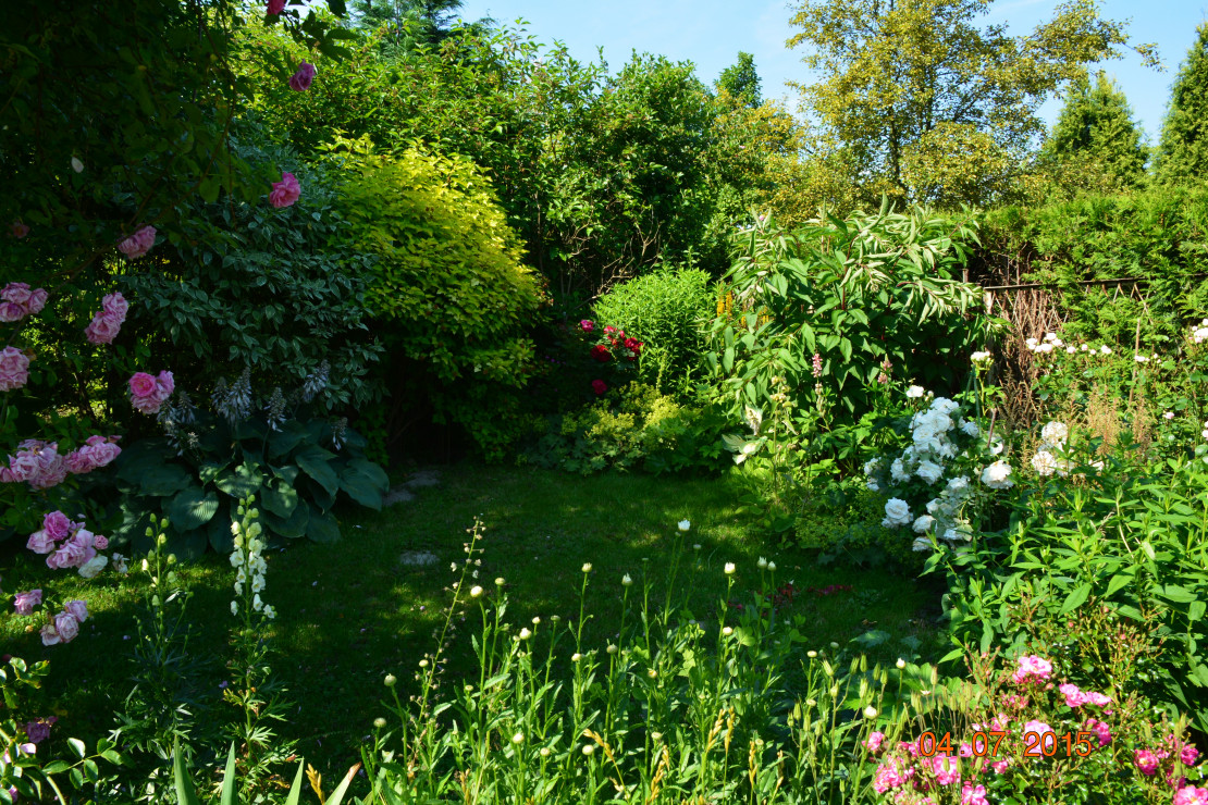  i zaciszne miejsce..