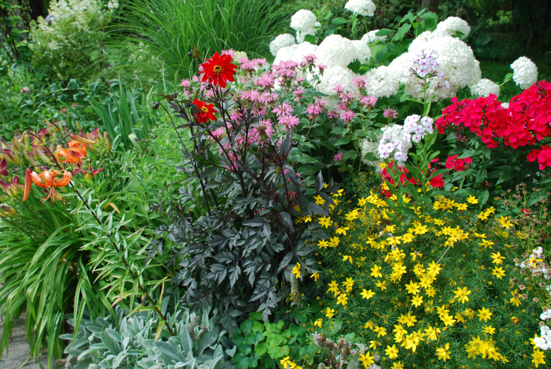 inna perełka; dalia Bishop of LLandaff