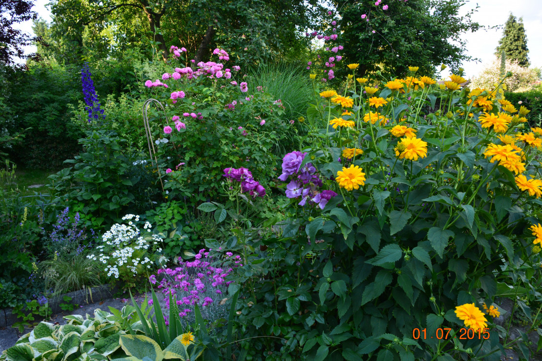 kwiaty błyszczą jaskrawo i złociście..