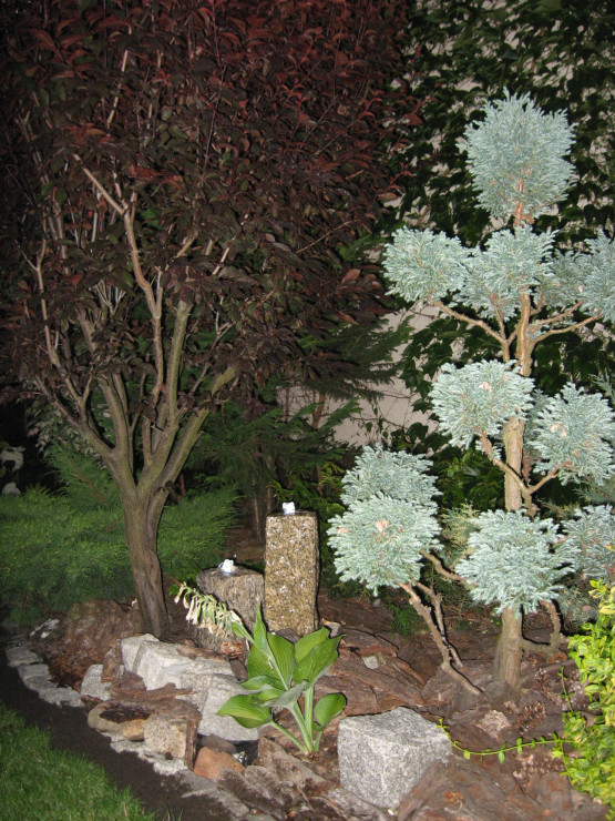 Napawamy się ogrodem również wieczorami a maluśka fontanna oświetla nam ten niewielki fragment ogrodu