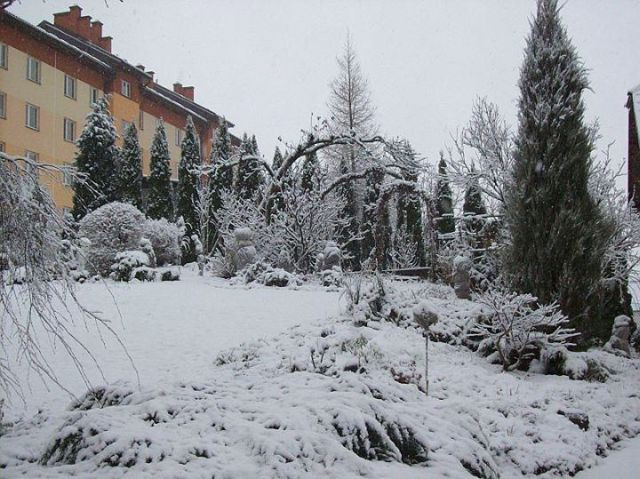 Ogród w zimie.