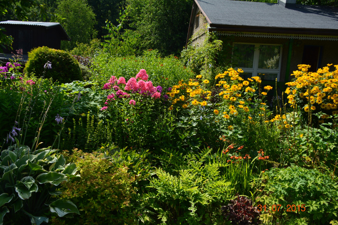 są jeszcze inne piękne miejsca i kwiaty