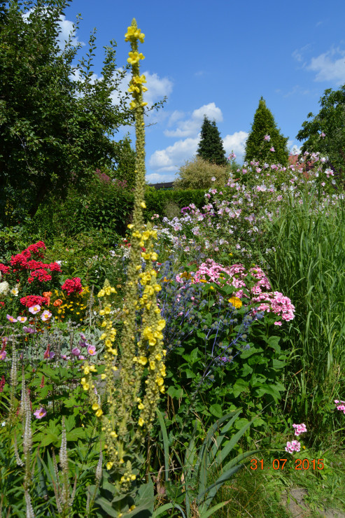senność upalnego dnia