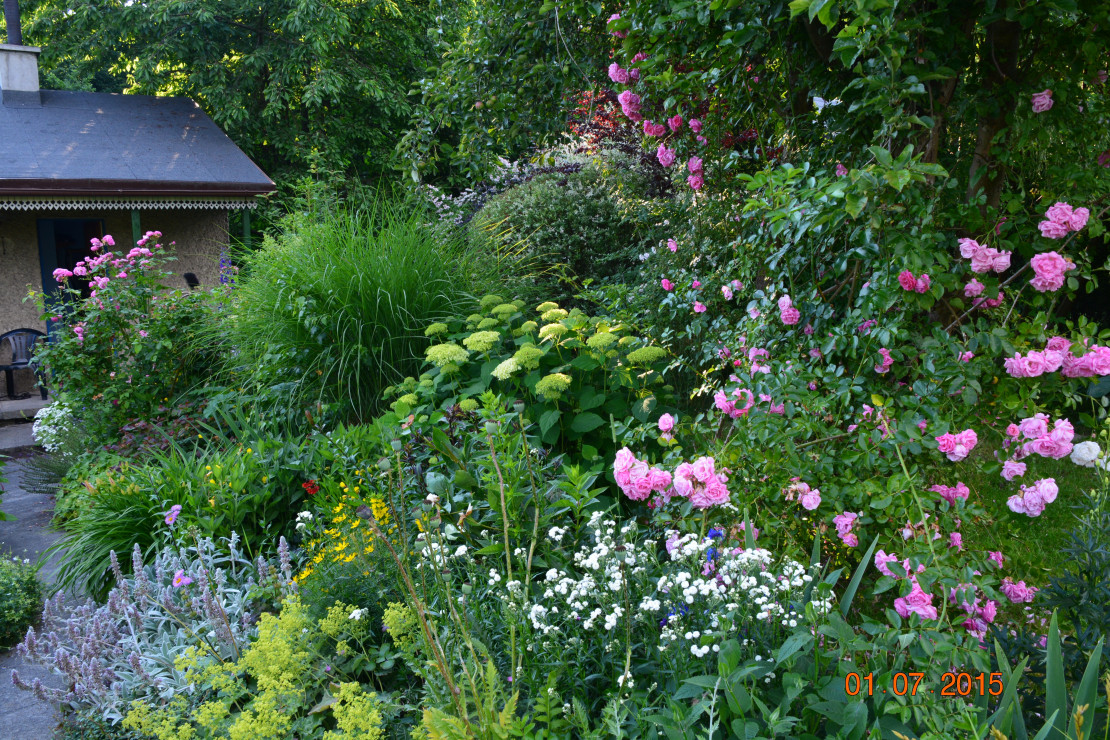 ta sama wiosenna świeżość