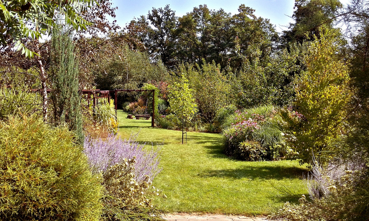 Widok ze schodów ogrodowych