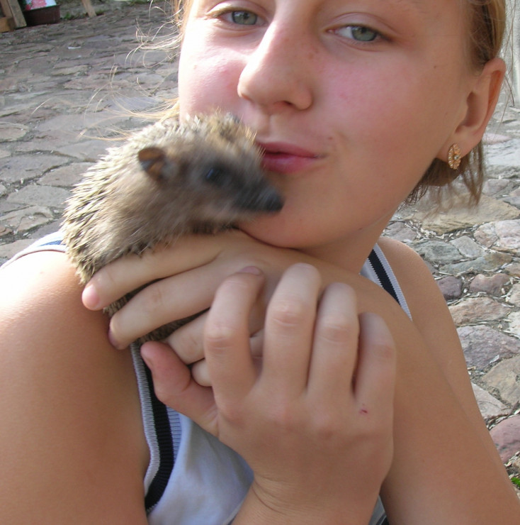 kochany Pysiek