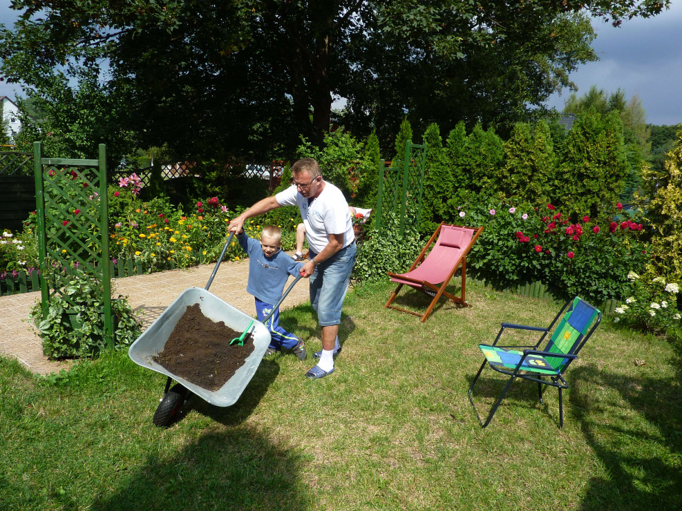 Wnuczek chętnie garnie się do wszystkich robot w ogrodzie. Początki trudne, pomaga dziadek, no bo dużo tego w taczce. 