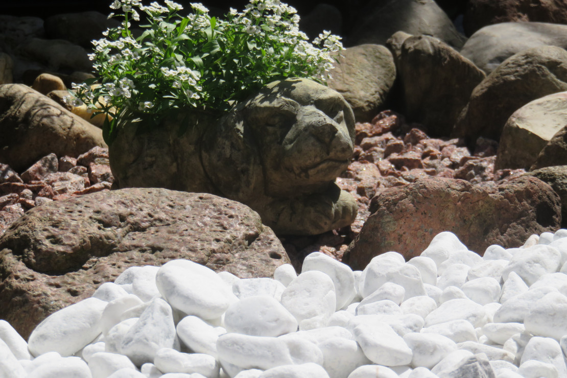 Aranżacje z kamieni, przedstawia druga część ogrodu. Kamień  jest ważnym elementem w naszym ogrodzie. Aby rabaty zrobiły wrażenie , trzeba poświęcić trochę więcej czasu i  efekt gotowy.  