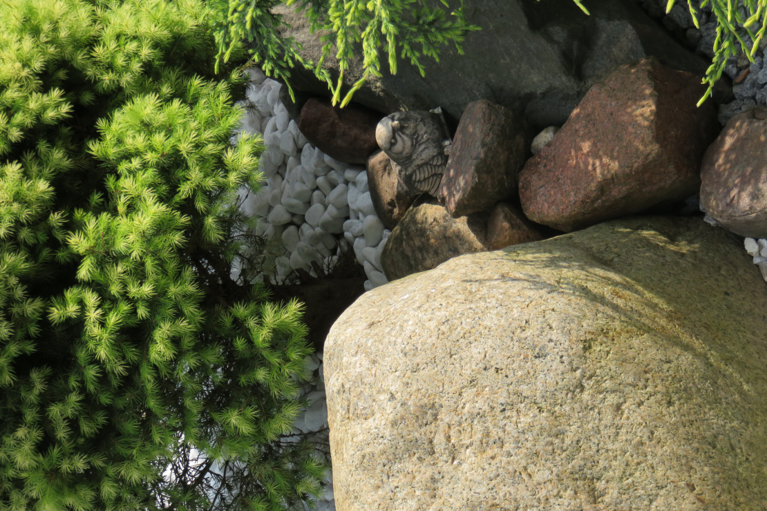 Aranżacje z kamieni, przedstawia druga część ogrodu. Kamień  jest ważnym elementem w naszym ogrodzie. Aby rabaty zrobiły wrażenie , trzeba poświęcić trochę więcej czasu i  efekt gotowy.  