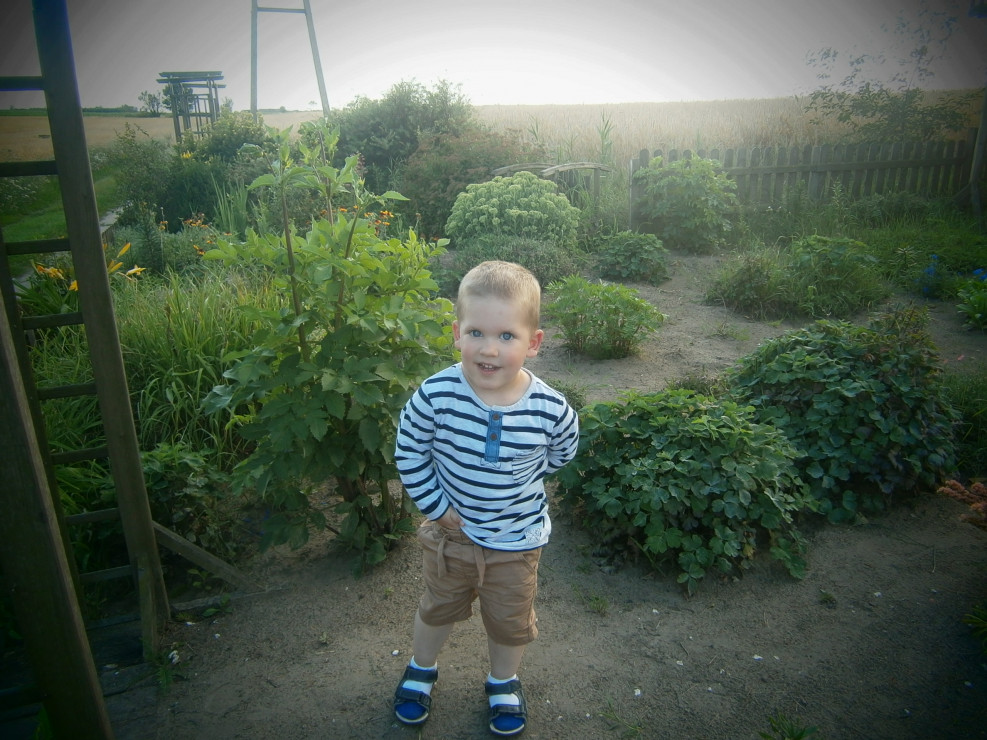 wnuczek Kevinek podziwia roślinki