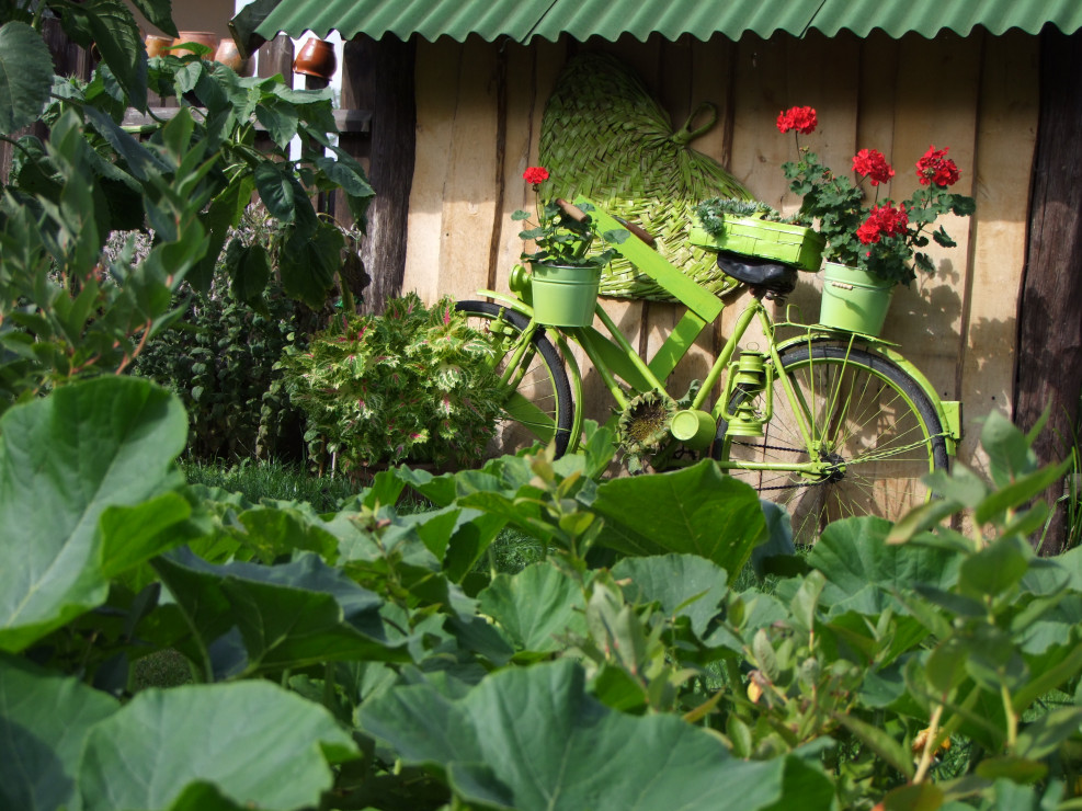 Zielony rower ogrodnika