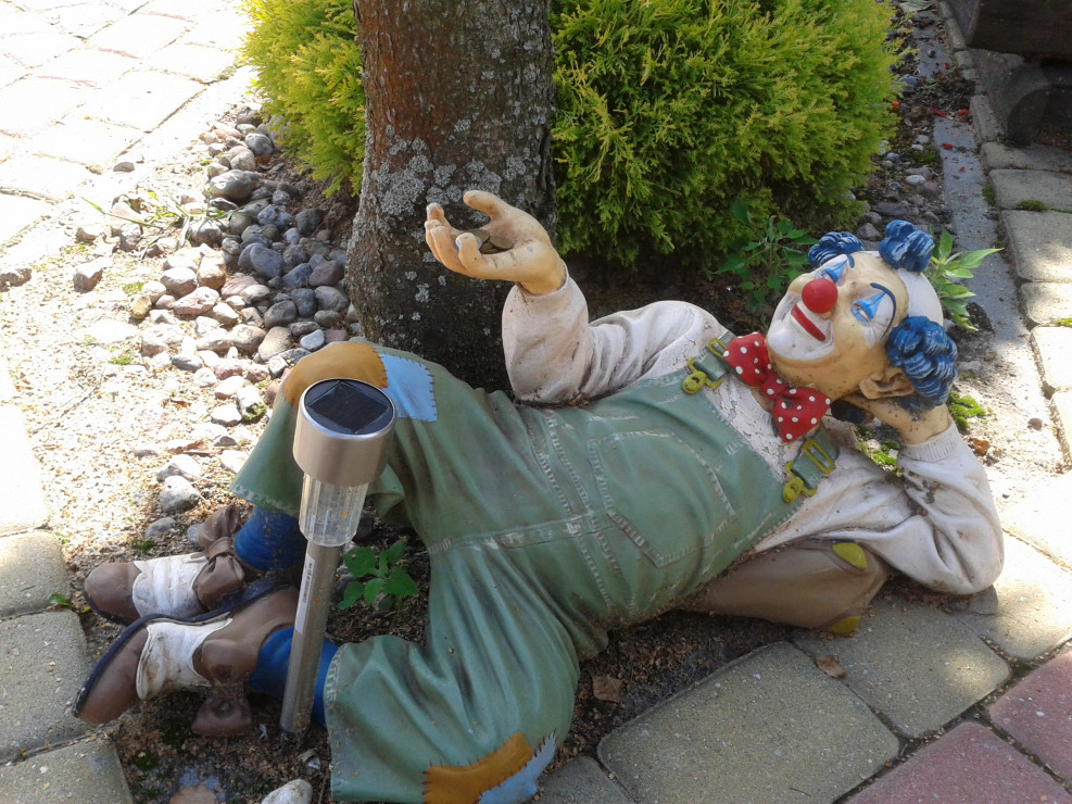 klaun w ogrodzie