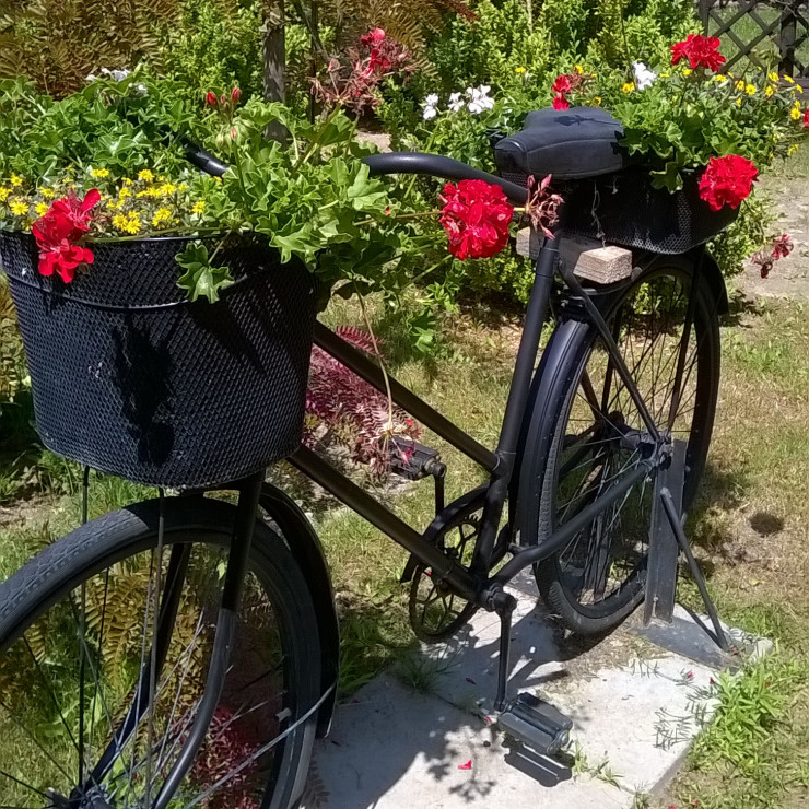 kwiatowy rower