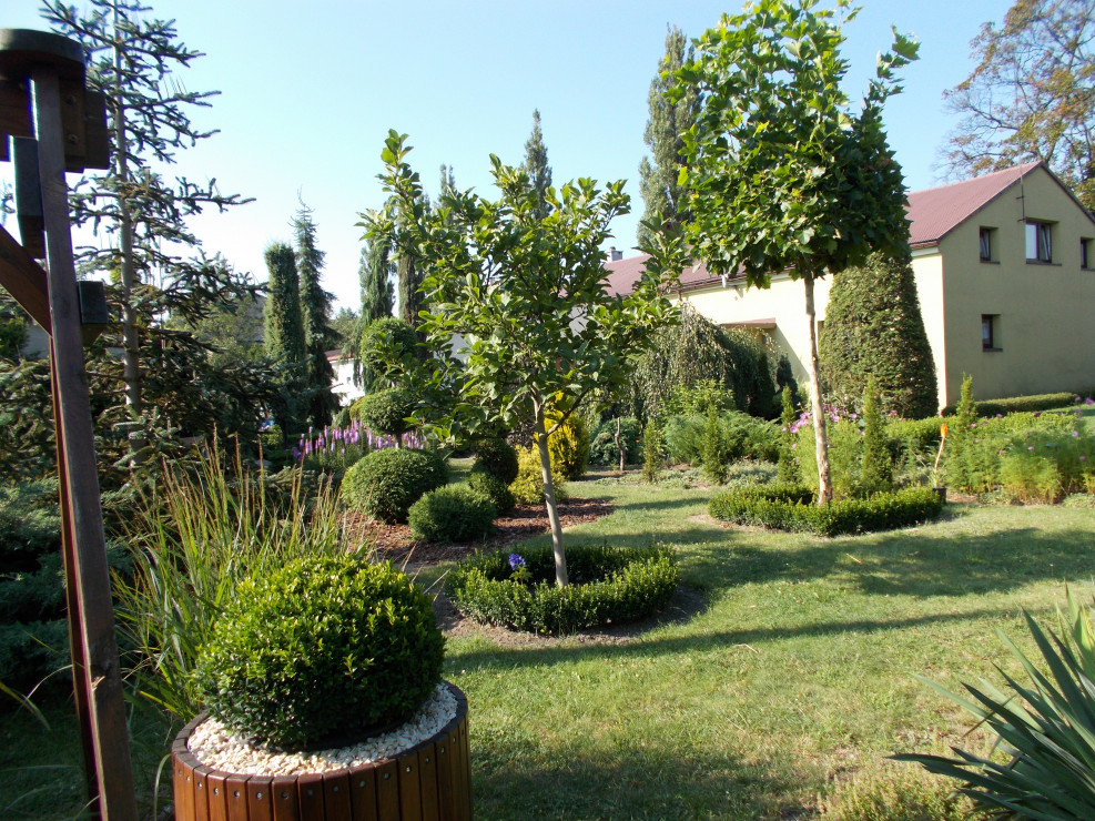 Widok na ogród z huśtawki ogrodowej.